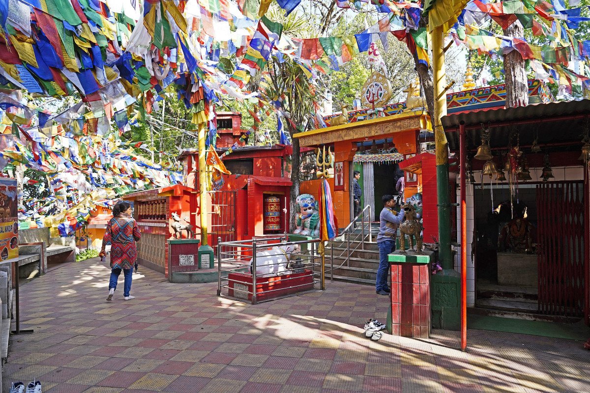 Slide 3