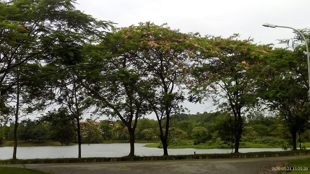 Slide 2