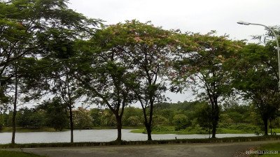 Slide 3