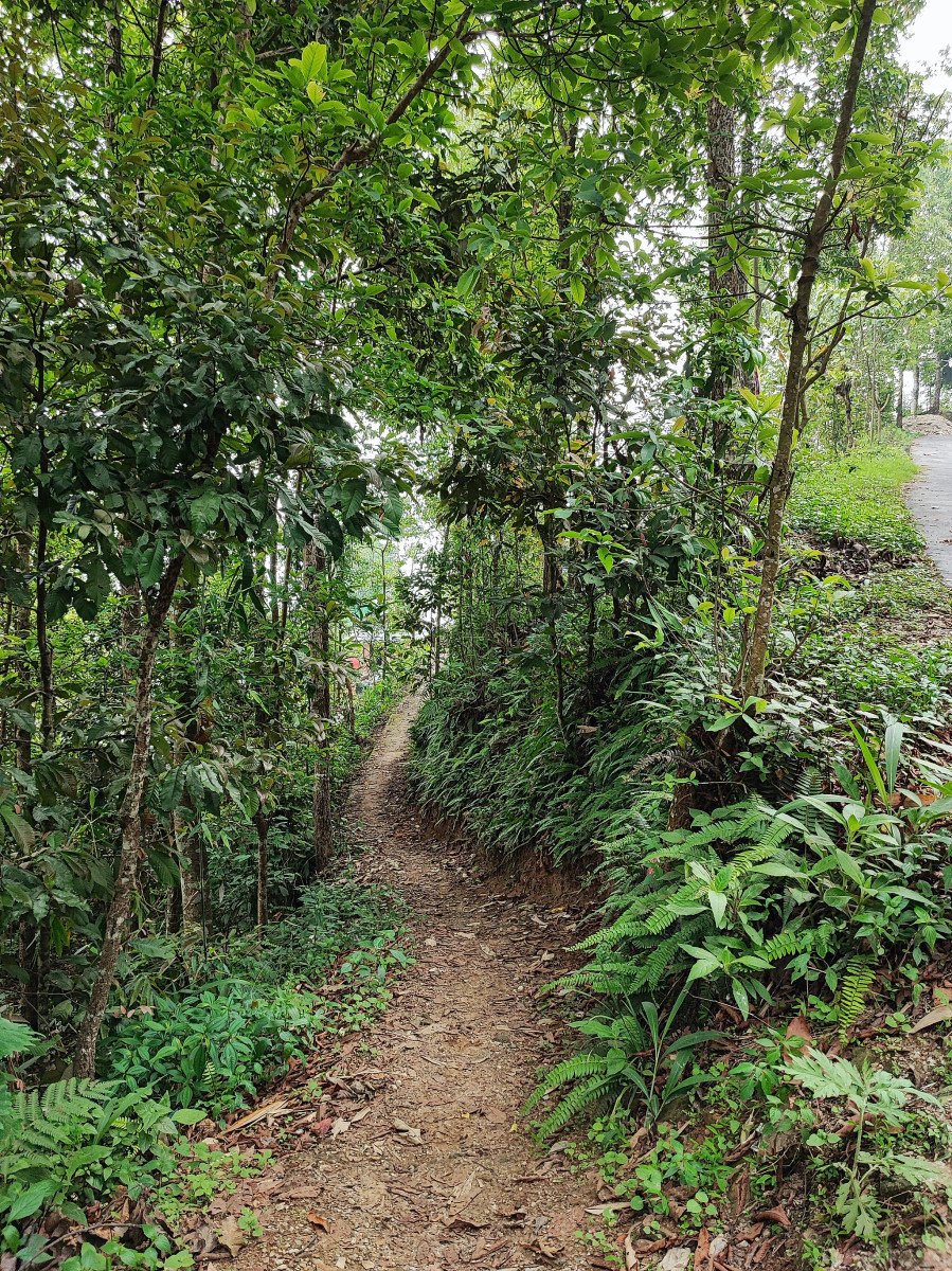 Slide 2