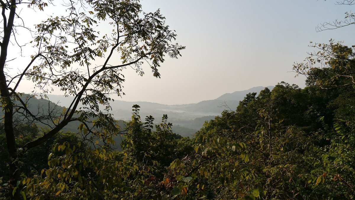 Slide 2