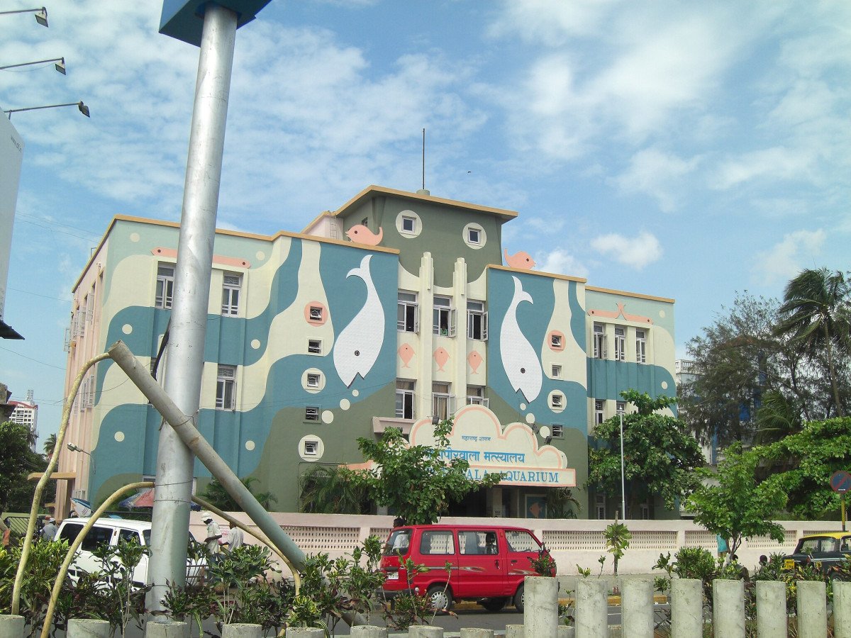 Slide 8