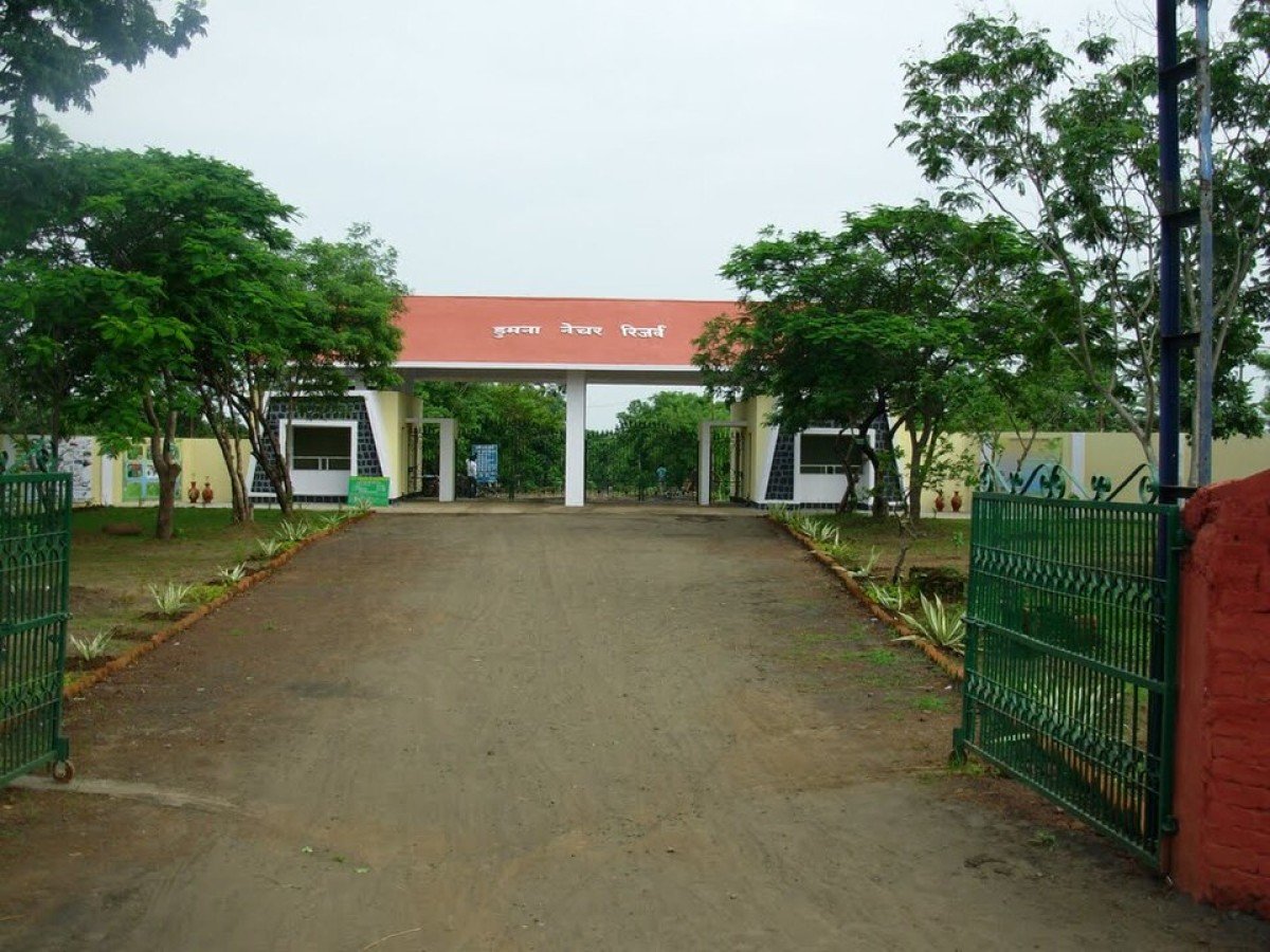 Slide 4