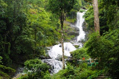Slide 9