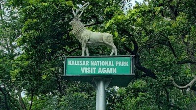 Slide 2