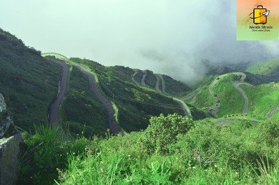 Slide 11