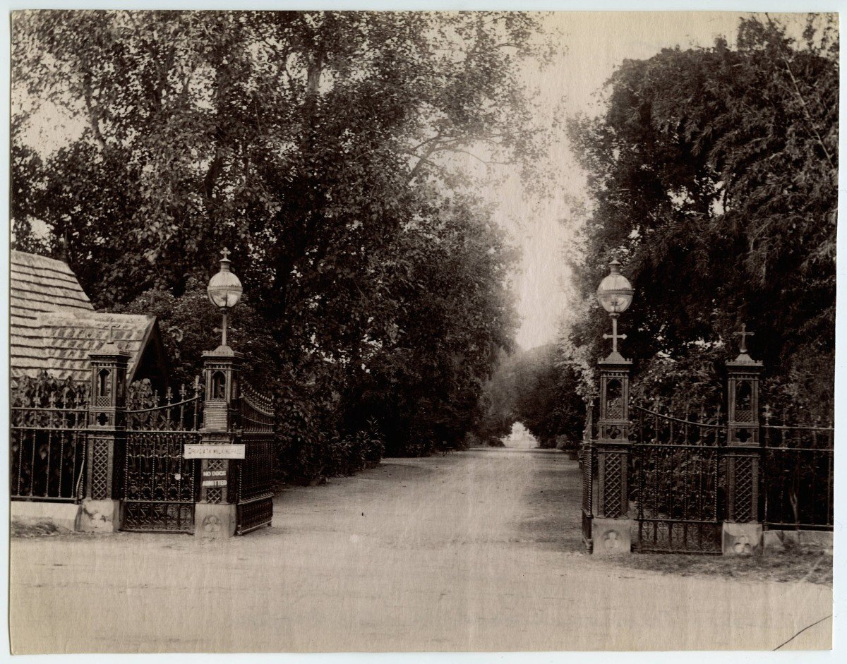 Slide 5