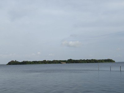 Slide 3