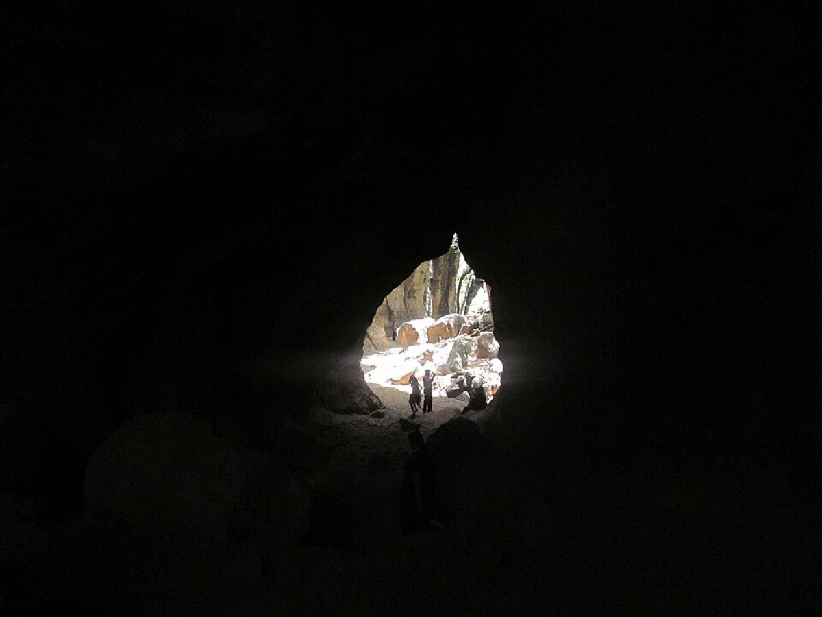 Slide 1