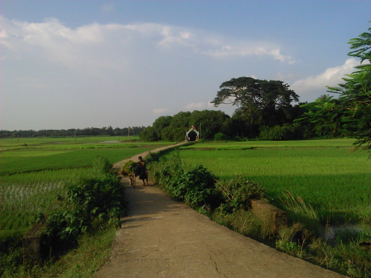 Slide 3