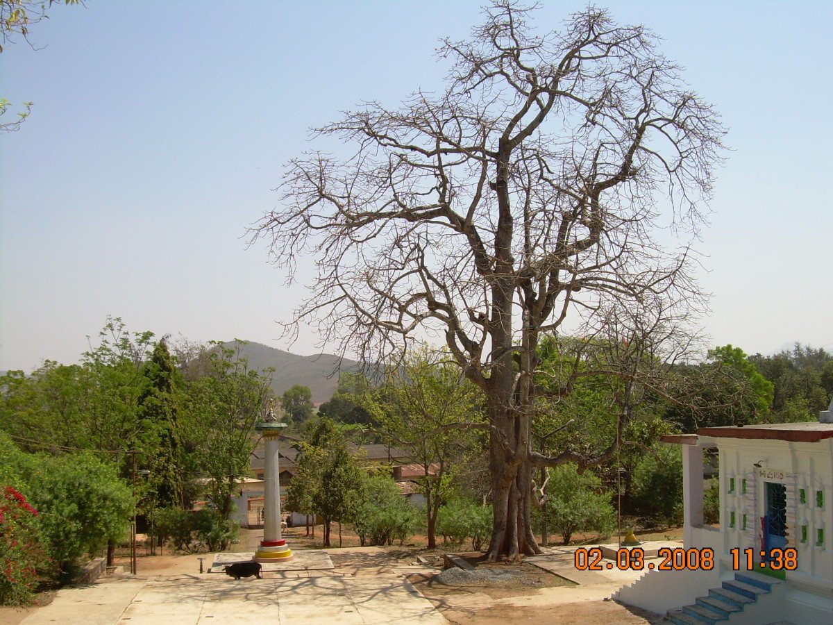 Slide 3