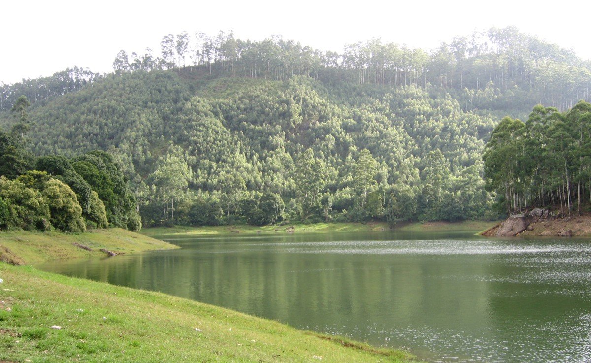 Slide 1