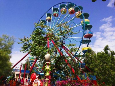 ...