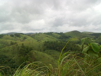 Slide 6