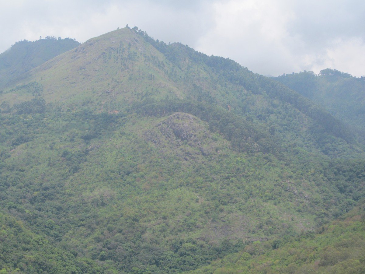Slide 9